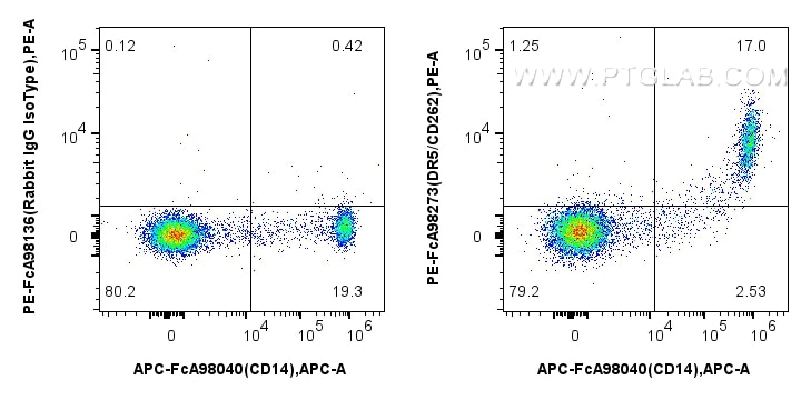 Flow cytometry (FC) experiment of human PBMCs using FcZero-rAb™ PE Anti-Human DR5/CD262 Rabbit Recombi (PE-FcA98273)