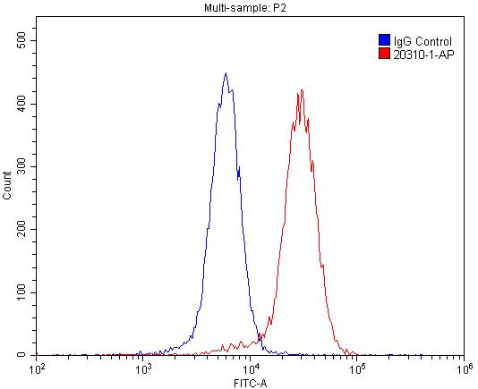 Flow cytometry (FC) experiment of SH-SY5Y cells using DRD5 Polyclonal antibody (20310-1-AP)