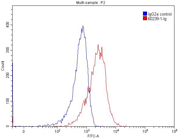 Flow cytometry (FC) experiment of HEK-293 cells using Desmocollin 2 Monoclonal antibody (60239-1-Ig)