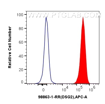 FC experiment of HeLa using 98863-1-RR (same clone as 98863-1-PBS) Flow cytometry (FC) experiment of HeLa cells using Anti-Human DSG2 Rabbit Recombinant Antibody (98863-1-RR)