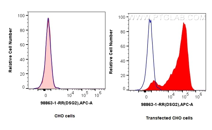 FC experiment of CHO using 98863-1-RR (same clone as 98863-1-PBS) Flow cytometry (FC) experiment of CHO cells using Anti-Human DSG2 Rabbit Recombinant Antibody (98863-1-RR)