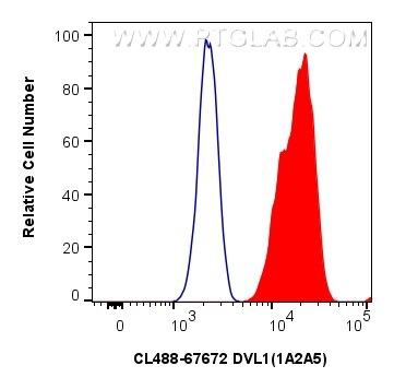 Flow cytometry (FC) experiment of U2OS cells using CoraLite® Plus 488-conjugated DVL1 Monoclonal anti (CL488-67672)