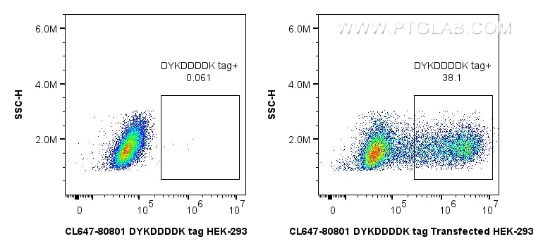 Flow cytometry (FC) experiment of HEK-293T transfected with TDP-43-flag using CoraLite® Plus 647-conjugated DYKDDDDK tag Recombi (CL647-80801-2)