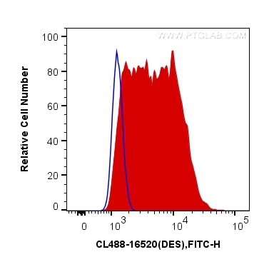 Flow cytometry (FC) experiment of C2C12 cells using CoraLite® Plus 488-conjugated Desmin Polyclonal an (CL488-16520)
