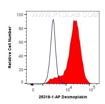 Flow cytometry (FC) experiment of A431 cells using Desmoplakin Polyclonal antibody (25318-1-AP)