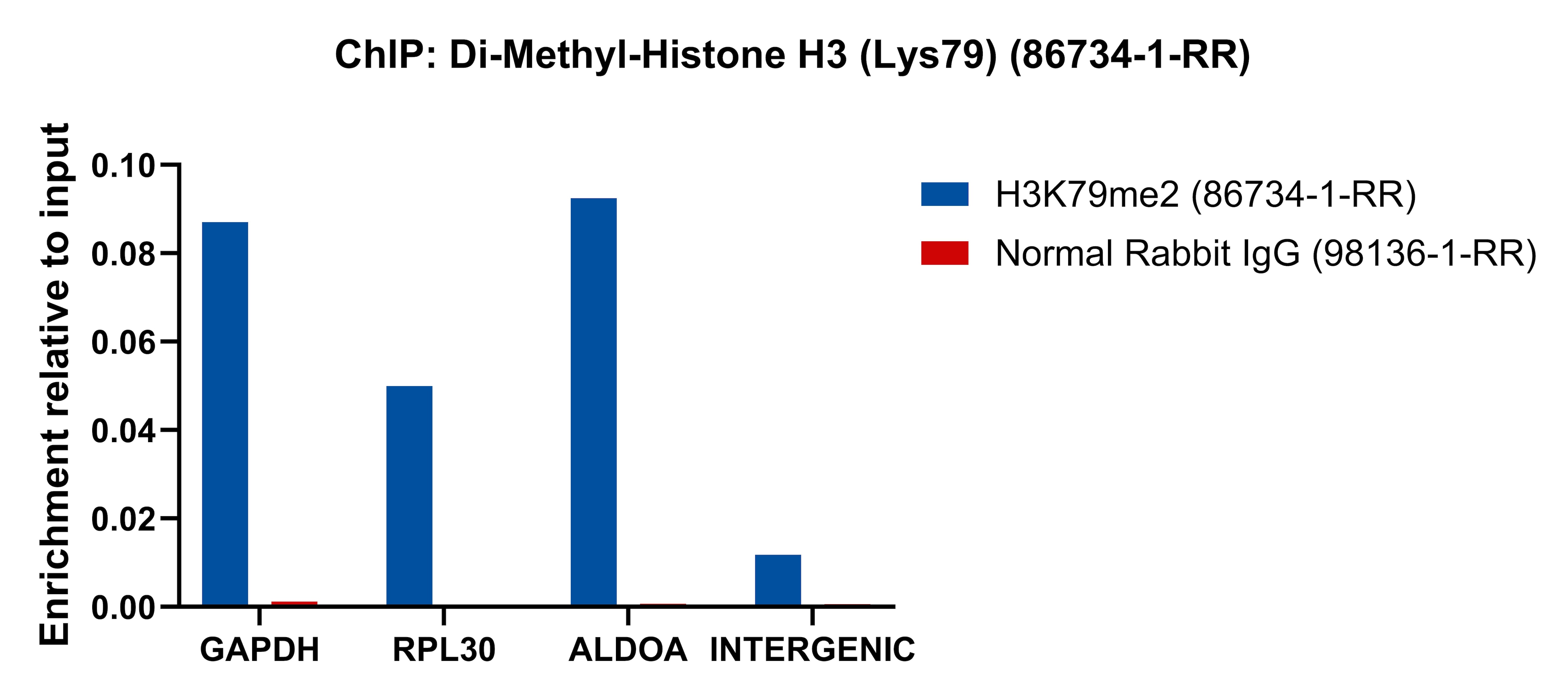 ChIP experiment of HeLa cells using Di-Methyl-Histone H3 (Lys79) Recombinant monoclona (86734-1-RR)