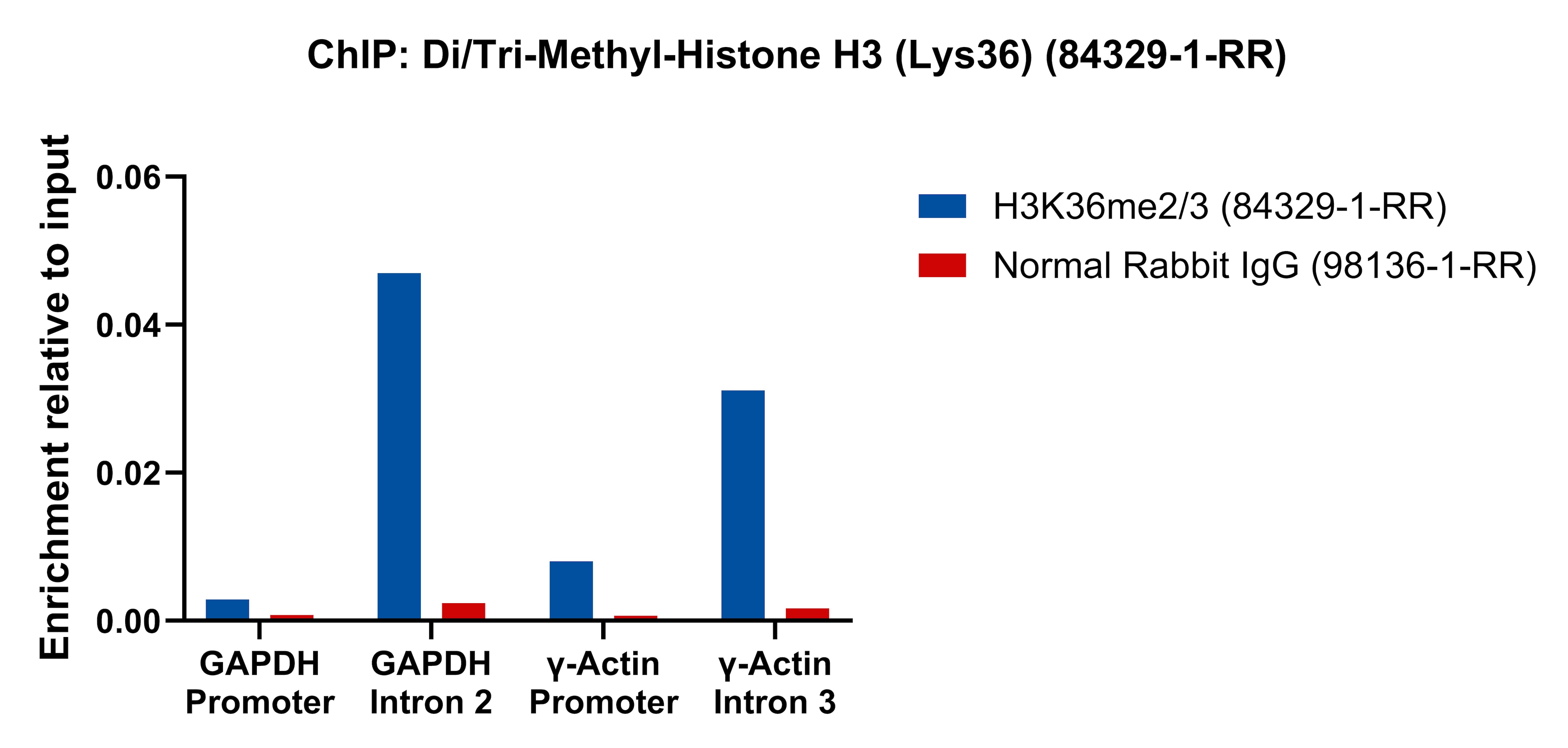 ChIP experiment of HeLa cells using Di/Tri-Methyl-Histone H3 (Lys36) Recombinant monoc (84329-1-RR)