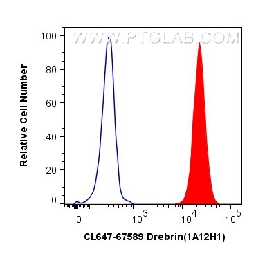 Flow cytometry (FC) experiment of SH-SY5Y cells using CoraLite® Plus 647-conjugated Drebrin Monoclonal a (CL647-67589)