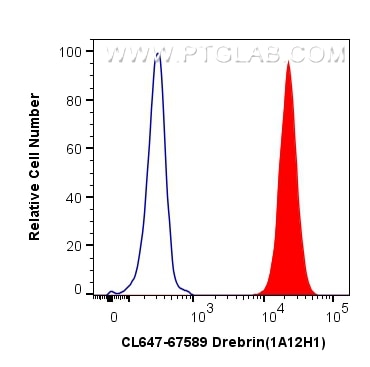 FC experiment of SH-SY5Y using CL647-67589