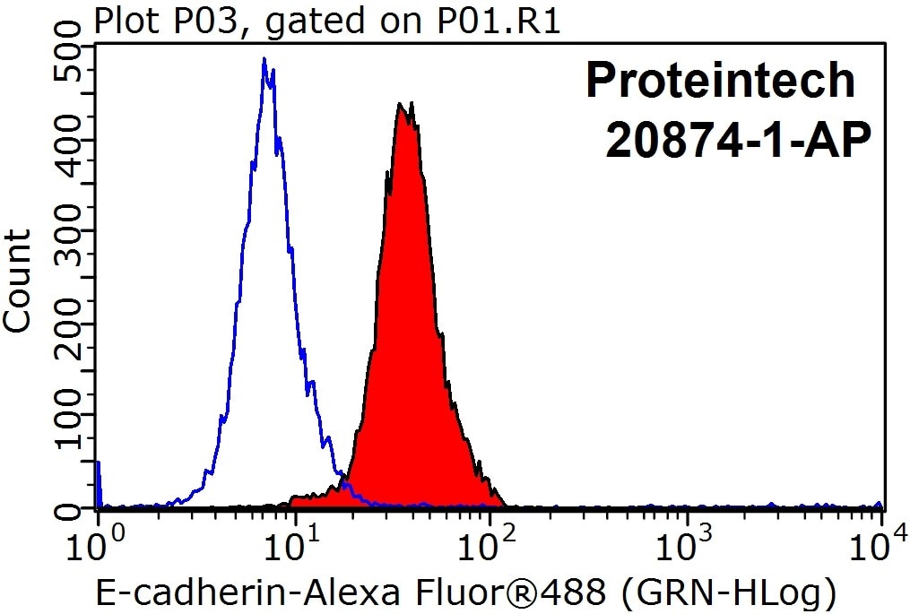 Flow cytometry (FC) experiment of HepG2 cells using E-cadherin Polyclonal antibody (20874-1-AP)