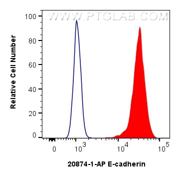 FC experiment of MCF-7 using 20874-1-AP Flow cytometry (FC) experiment of MCF-7 cells using E-cadherin Polyclonal antibody (20874-1-AP)