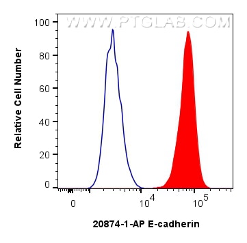 FC experiment of MCF-7 using 20874-1-AP Flow cytometry (FC) experiment of MCF-7 cells using E-cadherin Polyclonal antibody (20874-1-AP)