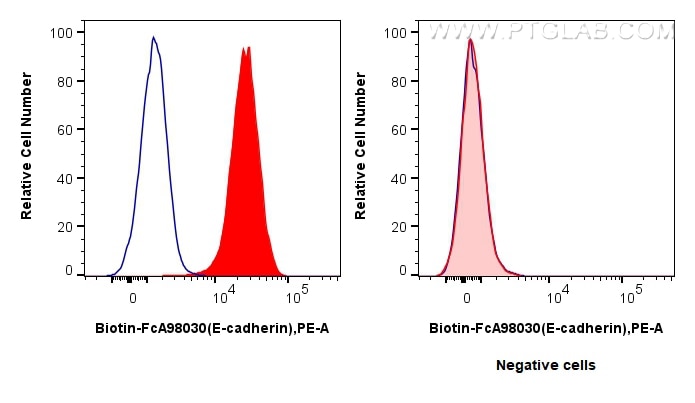 Flow cytometry (FC) experiment of HT-29 cells using FcZero-rAb™ Biotin Anti-Human E-cadherin Rabbit Re (Biotin-FcA98030)