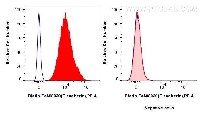 Flow cytometry (FC) experiment of MCF-7 cells using FcZero-rAb™ Biotin Anti-Human E-cadherin Rabbit Re (Biotin-FcA98030)