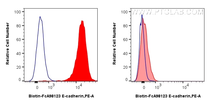 Flow cytometry (FC) experiment of HT-29 cells using FcZero-rAb® Biotin Anti-Human E-cadherin Rabbit Re (Biotin-FcA98123)
