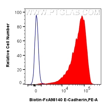 Flow cytometry (FC) experiment of MDCK cells using FcZero-rAb® Biotin Anti-Mouse E-cadherin Rabbit Re (Biotin-FcA98140)