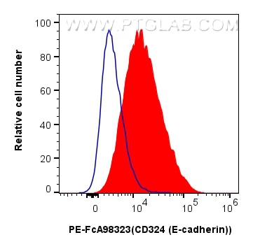 FC experiment of PC-12 using Biotin-FcA98323 Flow cytometry (FC) experiment of PC-12 cells using FcZero-rAb™ Biotin Anti-Rat E-cadherin Rabbit Reco (Biotin-FcA98323)