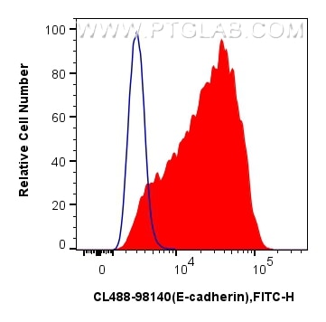 FC experiment of MDCK using CL488-98140 Flow cytometry (FC) experiment of MDCK cells using CoraLite® Plus 488 Anti-Mouse E-cadherin Rabbit Re (CL488-98140)