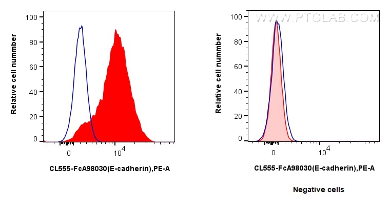 FC experiment of HT-29 using CL555-FcA98030 Flow cytometry (FC) experiment of HT-29 cells using FcZero-rAb® CoraLite® Plus 555 Anti-Human E-cadher (CL555-FcA98030)