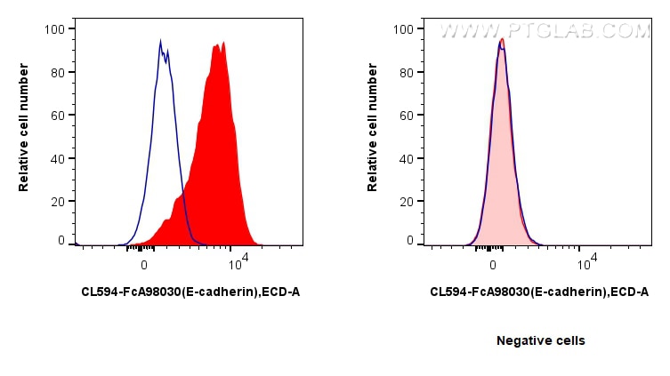 FC experiment of HT-29 using CL594-FcA98030 Flow cytometry (FC) experiment of HT-29 cells using FcZero-rAb® CoraLite® Plus 594 Anti-Human E-cadher (CL594-FcA98030)