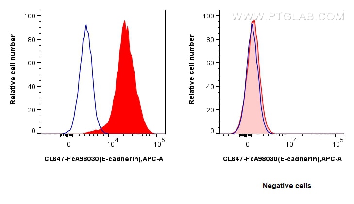 FC experiment of MCF-7 using CL647-FcA98030 Flow cytometry (FC) experiment of MCF-7 cells using FcZero-rAb® CoraLite® Plus 647 Anti-Human E-cadher (CL647-FcA98030)