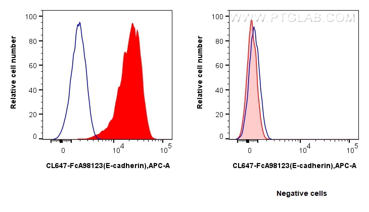 Flow cytometry (FC) experiment of HT-29 cells using FcZero-rAb® CoraLite® Plus 647 Anti-Human E-cadher (CL647-FcA98123)