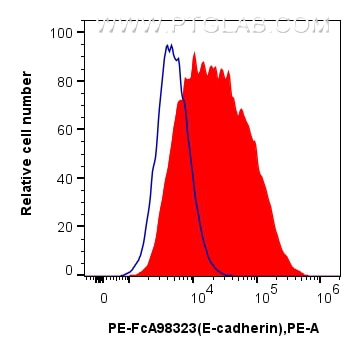 FC experiment of PC-12 using PE-FcA98323 Flow cytometry (FC) experiment of PC-12 cells using FcZero-rAb™ PE Anti-Rat E-cadherin Rabbit Recombin (PE-FcA98323)