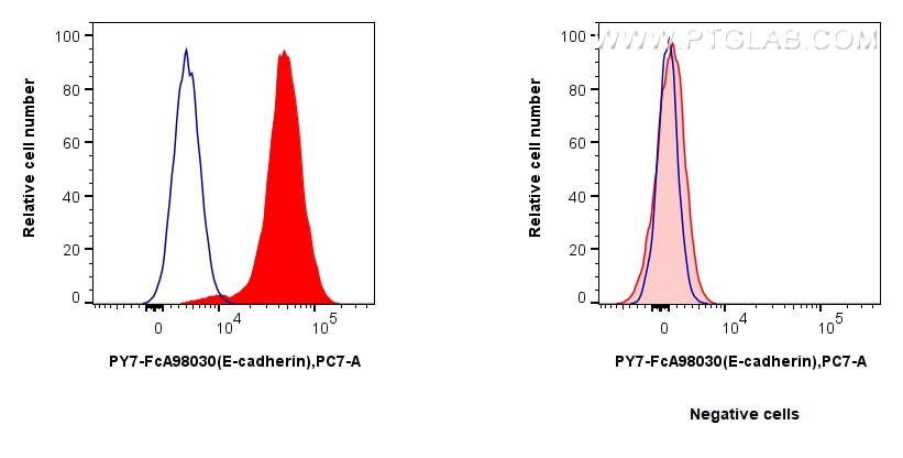 FC experiment of MCF-7 using PY7-FcA98030 Flow cytometry (FC) experiment of MCF-7 cells using FcZero-rAb® PE-Cyanine7 Anti-Human E-cadherin Rabb (PY7-FcA98030)
