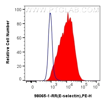 Flow cytometry (FC) experiment of bEnd.3 cells using Anti-Mouse E-selectin/CD62E Rabbit Recombinant Ant (98065-1-RR)