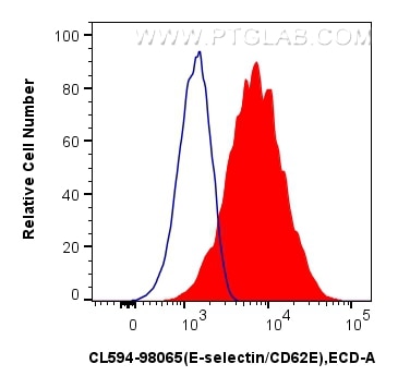 1x10^6 bEnd.3 cells were surface stained with 0.25 ug CoraLite®594 Anti-Mouse E-selectin/CD62E Rabbit RecAb (CL594-98065, Clone:240700D4) (red), or 0.25 ug CoraLite®594 Rabbit IgG Isotype Control RecAb (CL594-98136, Clone: 240953C9) (blue). Cells were not fixed. Flow cytometry (FC) experiment of bEnd.3 cells using CoraLite®594 Anti-Mouse E-selectin/CD62E Rabbit Re (CL594-98065)