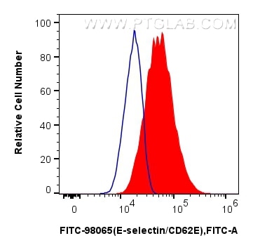 1x10^6 bEnd.3 cells were surface stained with 0.25 ug FITC Plus Anti-Mouse E-selectin/CD62E Rabbit RecAb (FITC-98065, Clone:240700D4) (red), or 0.25 ug FITC Plus Rabbit IgG Isotype Control RecAb (FITC-98136, Clone: 240953C9) (blue). Cells were not fixed. Flow cytometry (FC) experiment of bEnd.3 cells using FITC Plus Anti-Mouse E-selectin/CD62E Rabbit Recom (FITC-98065)