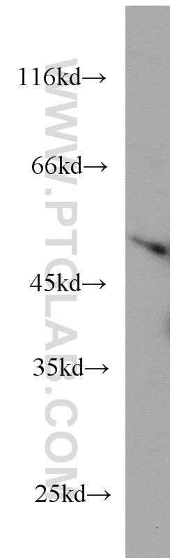 E2F6