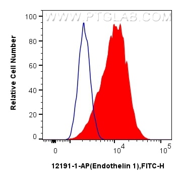 Flow cytometry (FC) experiment of HUVEC cells using Endothelin 1 Polyclonal antibody (12191-1-AP)