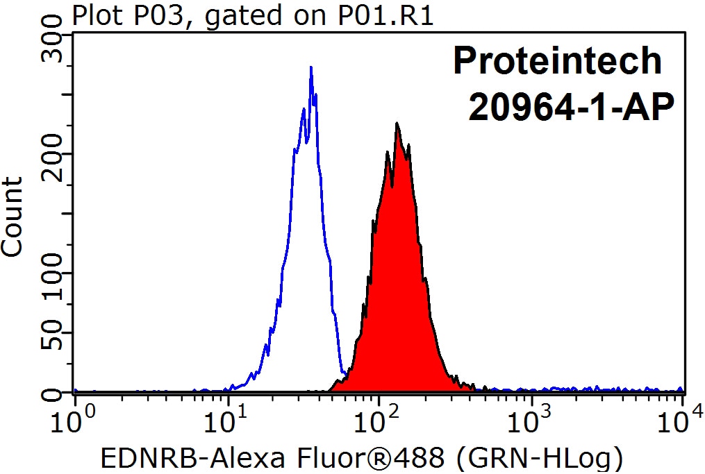 Flow cytometry (FC) experiment of Raji cells using EDNRB Polyclonal antibody (20964-1-AP)