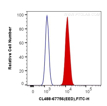Flow cytometry (FC) experiment of HeLa cells using CoraLite® Plus 488-conjugated EED Monoclonal antib (CL488-67756)