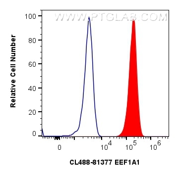 Flow cytometry (FC) experiment of HeLa cells using CoraLite® Plus 488-conjugated EEF1A1 Recombinant a (CL488-81377)