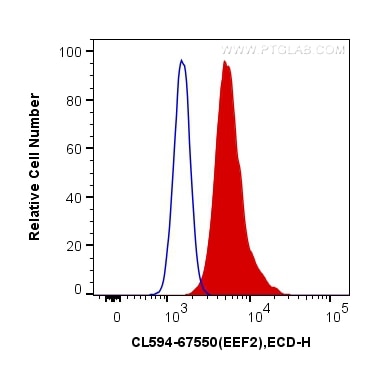 Flow cytometry (FC) experiment of HeLa cells using CoraLite®594-conjugated EEF2 Monoclonal antibody (CL594-67550)