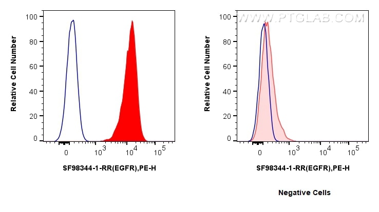 FC experiment of A431 using SF98344-1-RR Flow cytometry (FC) experiment of A431 cells using Anti-Human EGFR Rabbit scFv Antibody (SF98344-1-RR)