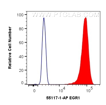 Flow cytometry (FC) experiment of MCF-7 cells using EGR1 Polyclonal antibody (55117-1-AP)