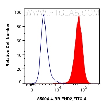 Flow cytometry (FC) experiment of A431 cells using EHD2 Recombinant monoclonal antibody (85604-4-RR)