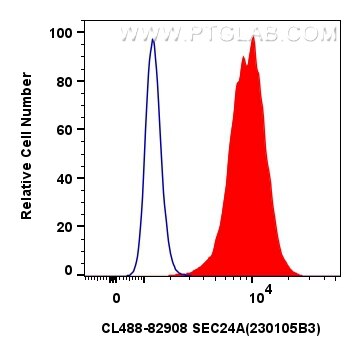 Flow cytometry (FC) experiment of HeLa cells using CoraLite® Plus 488-conjugated EIF2S1 Recombinant a (CL488-82936)