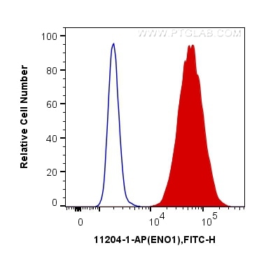 Flow cytometry (FC) experiment of A549 cells using ENO1 Polyclonal antibody (11204-1-AP)
