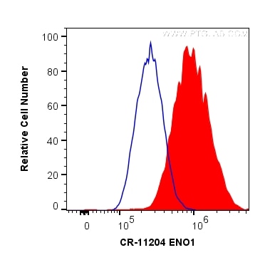 Flow cytometry (FC) experiment of HeLa cells using Cardinal Red™-conjugated ENO1 Polyclonal antibody (CR-11204)