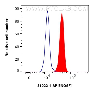 Flow cytometry (FC) experiment of HeLa cells using ENOSF1 Polyclonal antibody (31022-1-AP)