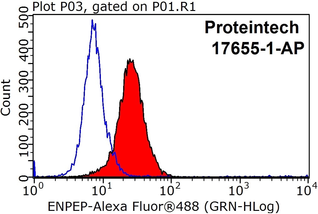 Flow cytometry (FC) experiment of HepG2 cells using ENPEP Polyclonal antibody (17655-1-AP)