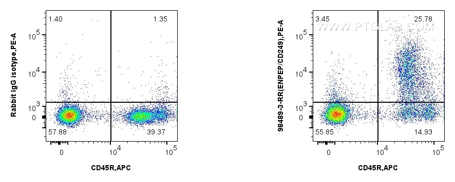 Flow cytometry (FC) experiment of mouse bone marrow cells using Anti-Mouse ENPEP Rabbit Recombinant Antibody (98489-3-RR)
