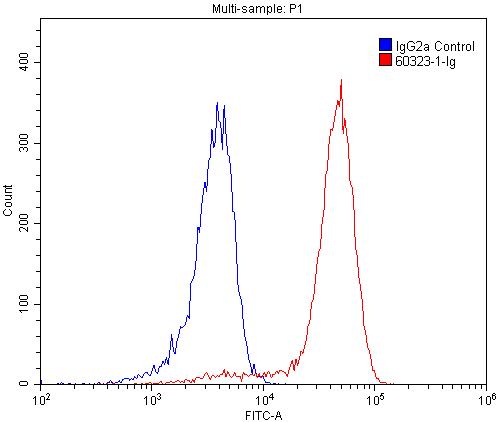 Flow cytometry (FC) experiment of Jurkat cells using CD39/ENTPD1 Monoclonal antibody (60323-1-Ig)