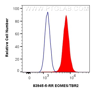1x10^6 Jurkat cells were intracellularly stained with 0.25 ug EOMES/TBR2 Recombinant monoclonal antibody (83945-5-RR, Clone:241036D9) and CoraLite®488-Conjugated Goat Anti-Rabbit IgG(H+L) (SA00013-2)(red), or 0.25 ug Rabbit IgG Isotype Control RecAb (98136-1-RR, Clone: 240953C9) (blue). Cells were fixed and permeabilized with Transcription Factor Staining Buffer Kit (PF00011). Flow cytometry (FC) experiment of Jurkat cells using EOMES/TBR2 Recombinant monoclonal antibody (83945-5-RR)