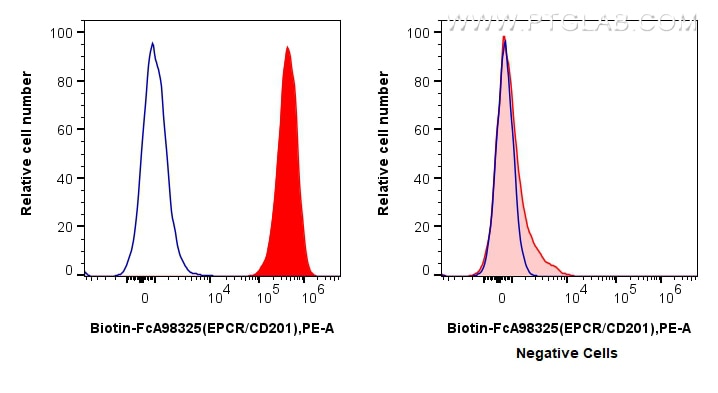 FC experiment of HUVEC using Biotin-FcA98325 Flow cytometry (FC) experiment of HUVEC cells using FcZero-rAb™ Biotin Anti-Human EPCR/CD201 Rabbit Re (Biotin-FcA98325)