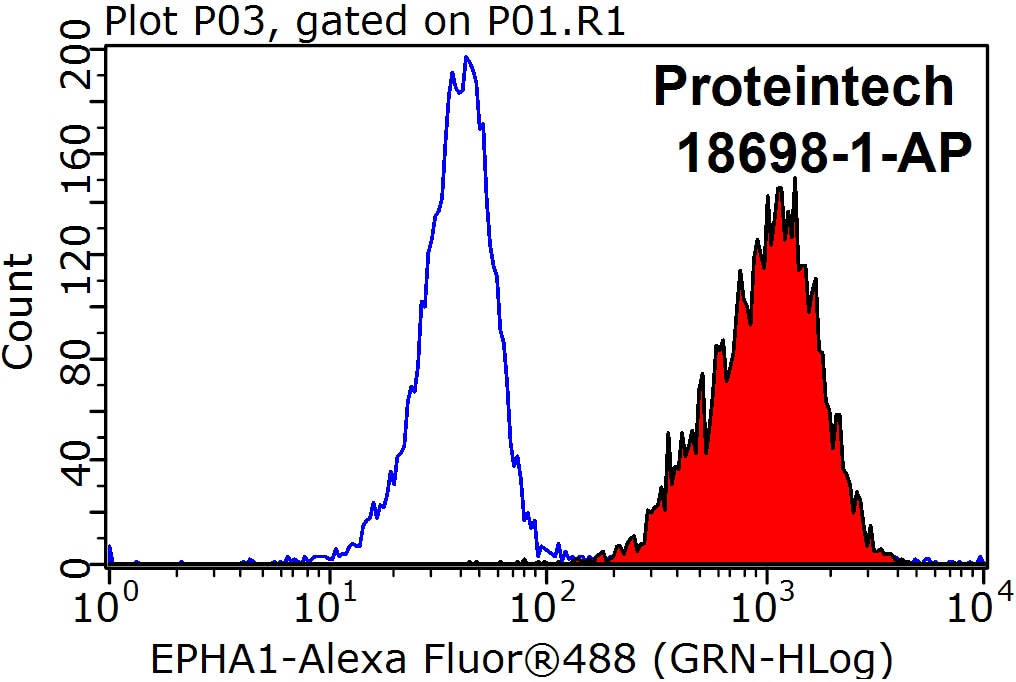 Flow cytometry (FC) experiment of HeLa cells using EPHA1-specific Polyclonal antibody (18698-1-AP)